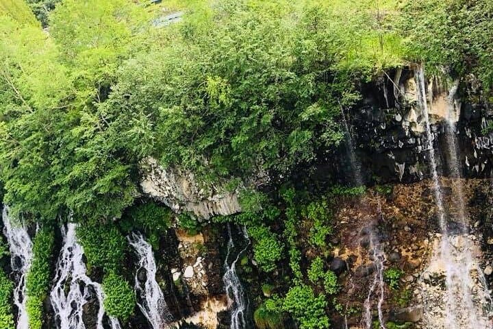 Hokkaido Day Tour — Asahiyama Zoo, Blue Pond & Furano's Forest Terrace photo 5