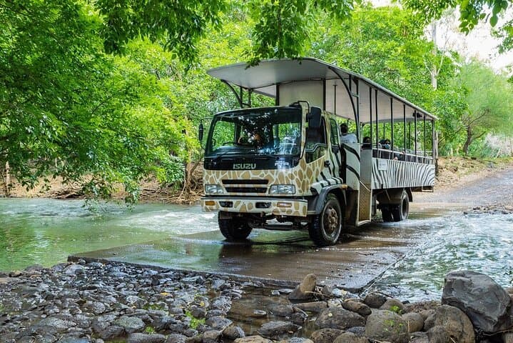 South Discovery: Casela Wildlife Safari, Chamarel Lunch & Grand Bassin Day Tour