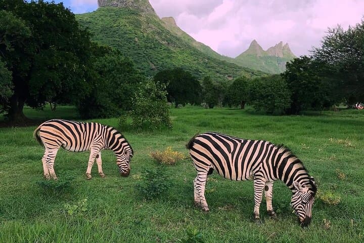 South Discovery: Casela Wildlife Safari, Chamarel Lunch & Grand Bassin Day Tour photo 3
