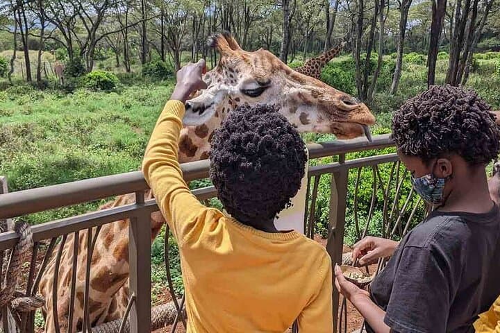 Inside Nairobi National Park: Urban Safari and Giraffe Conservation Experience photo 4
