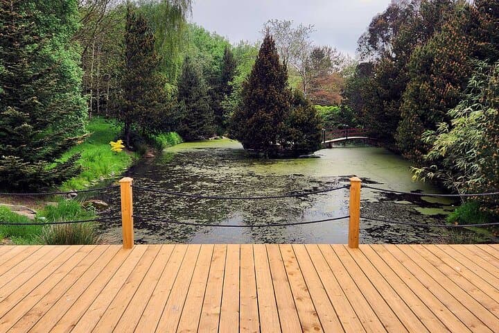 Restorative Yoga at Ballynahinch Pond: Outdoor Class in County Down photo 5