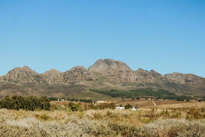 Stellenbosch Wine Tour: Four-Stop Wine Taxi Through the Winelands photo 5