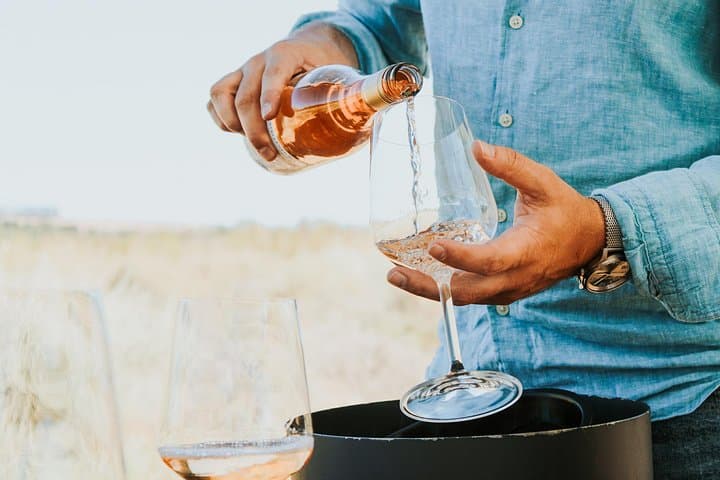 Stellenbosch Wine Tour: Four-Stop Wine Taxi Through the Winelands photo 6