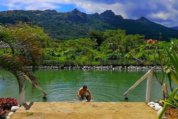 Full-Day Nadi & Sabeto Mud Pools Tour — Garden of the Sleeping Giant Experience photo 5