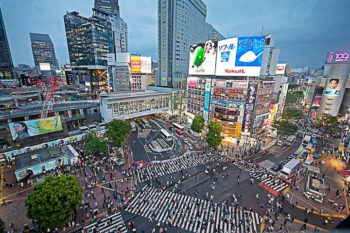 Private Shibuya Walking Tour: Hachikō, Scramble Crossing & Hidden Alleys photo 2