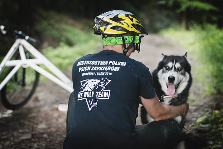 Dog-Powered Rig Rides in Beskid Wyspowy: Mushing with Huskies and Elkhounds photo 2