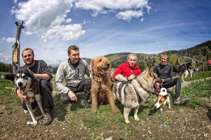 Dog-Powered Rig Rides in Beskid Wyspowy: Mushing with Huskies and Elkhounds photo 6