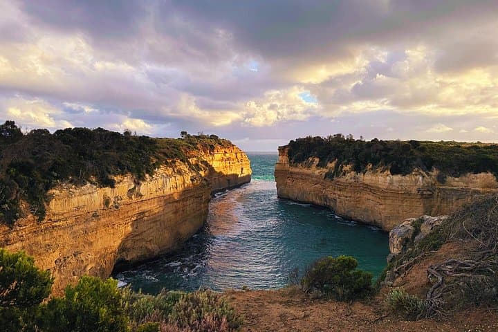 Deluxe Great Ocean Road Private Tour — Twelve Apostles, Otways & Wildlife photo 1
