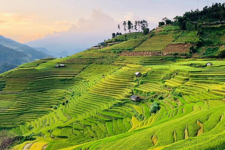 Explore Sapa by Motorbike: Easy Rider Tour from Hanoi