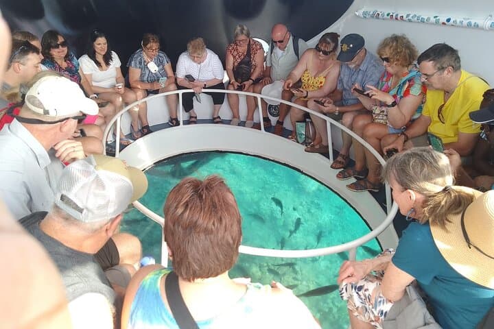 Oculus Glass-Bottom Boat Tour to Cheeseburger Reef, Grand Cayman photo 5