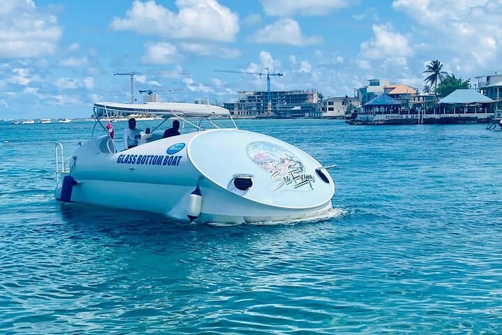 Oculus Glass-Bottom Boat Tour to Cheeseburger Reef, Grand Cayman