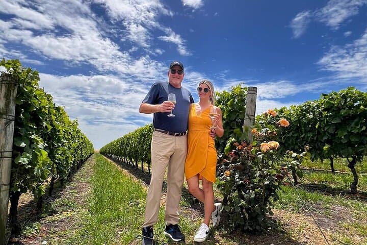Scenic Wine Tour from Colonia to Carmelo: Boutique Vineyard & Tasting photo 5