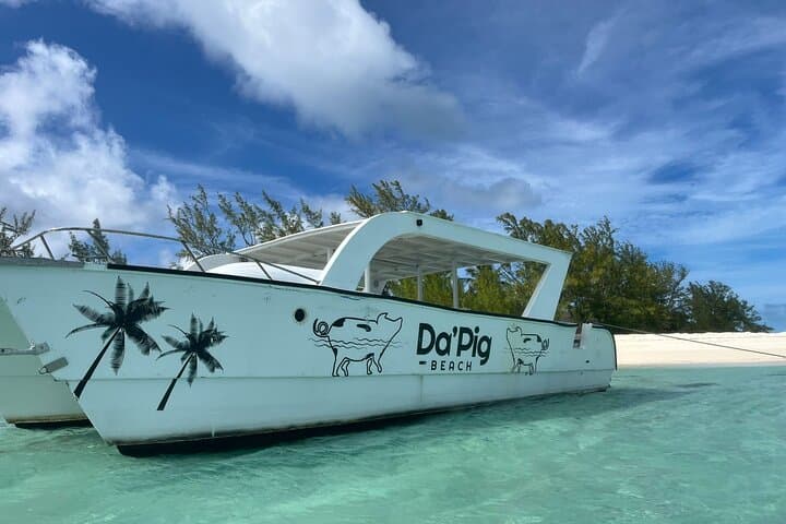 Private Nassau Boat Tour: Swimming Pigs, Snorkel Reefs & Lunch on Rose Island photo 2