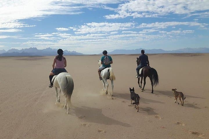 Makadi Bay Desert-to-Sea Quad Bike and Seaside Ride photo 3