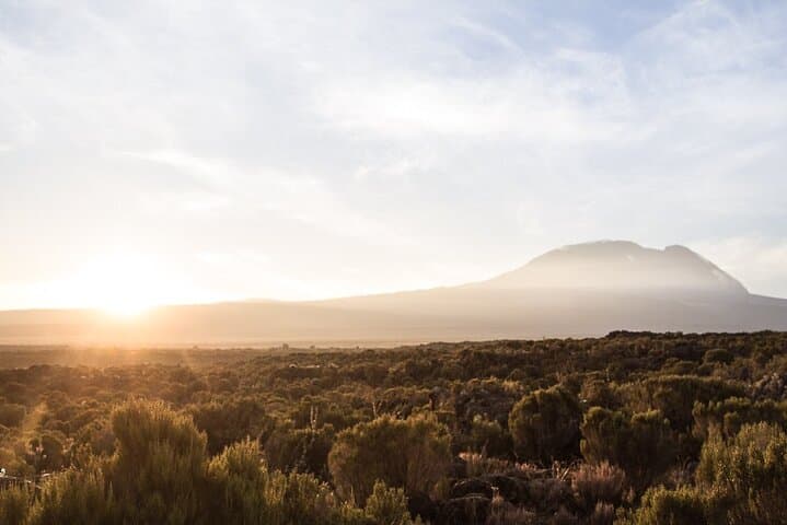 Kilimanjaro Lemosho Route: 10-Day Private Trek to Uhuru Peak photo 4