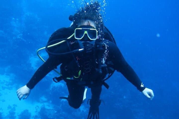 Full-Day Snorkeling at Ras Mohamed & White Island — Red Sea Coral Gardens photo 2