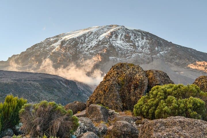 Kilimanjaro Lemosho Route: 10-Day Private Trek to Uhuru Peak photo 6
