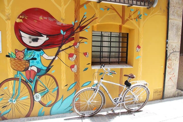 Valencia Street Art Bike Tour: Small-Group Ride Through El Carmen's Murals