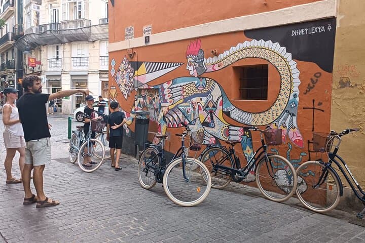 Valencia Street Art Bike Tour: Small-Group Ride Through El Carmen's Murals photo 3
