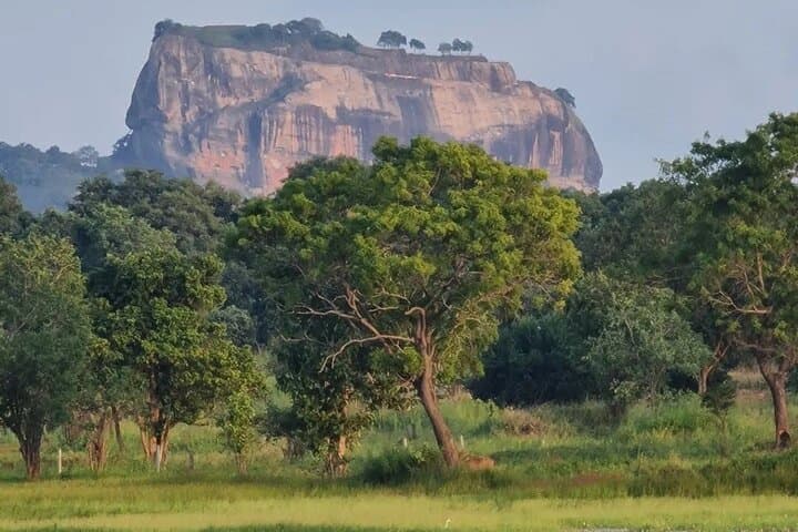 Climbing Sigiriya and Dambulla: Day Trip from Colombo to Ancient Rock and Cave Temples photo 2