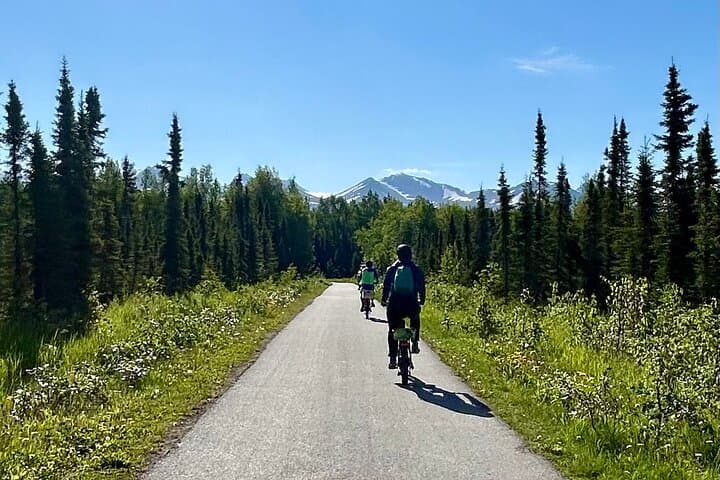 Anchorage E-Bike Tour: Public Art and Coastal Trails photo 4