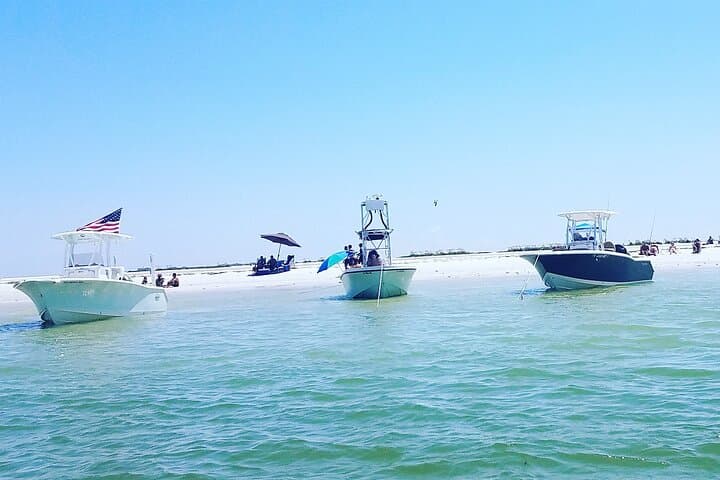 Private Sandbar & Dolphin-Watching Boat Charter in Sarasota photo 2