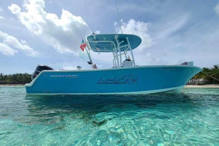 Private Sandbar & Dolphin-Watching Boat Charter in Sarasota photo 5