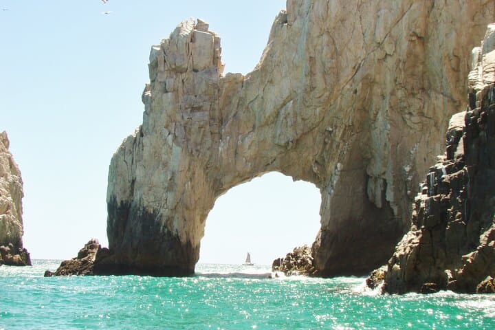 Magical Baja Adventure: Todos Santos, Cabo San Lucas & San José del Cabo Day Tour photo 4