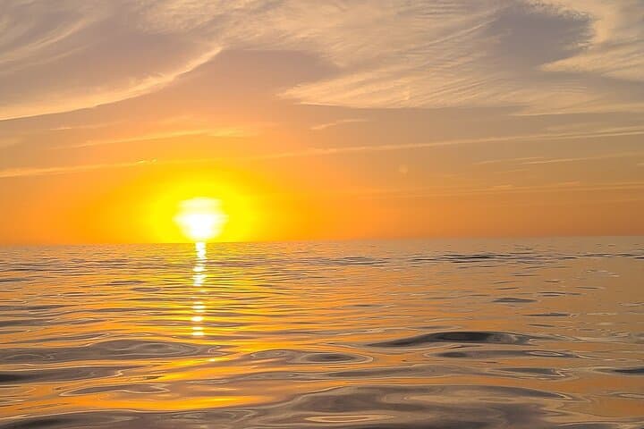 Private Sandbar & Dolphin-Watching Boat Charter in Sarasota photo 4