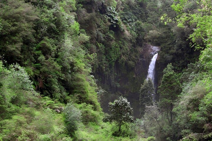 Scenic Lake Llanquihue Circuit: Frutillar, Ensenada & Osorno Views photo 6