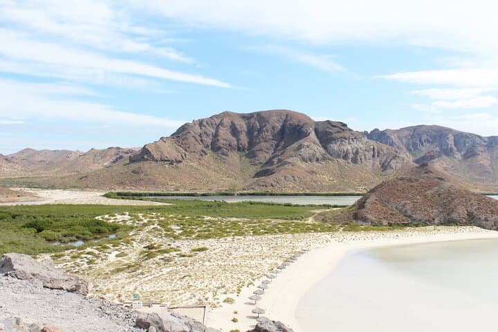 La Paz Day Tour: Balandra & El Tecolote Beaches with Historic Center Walk photo 4