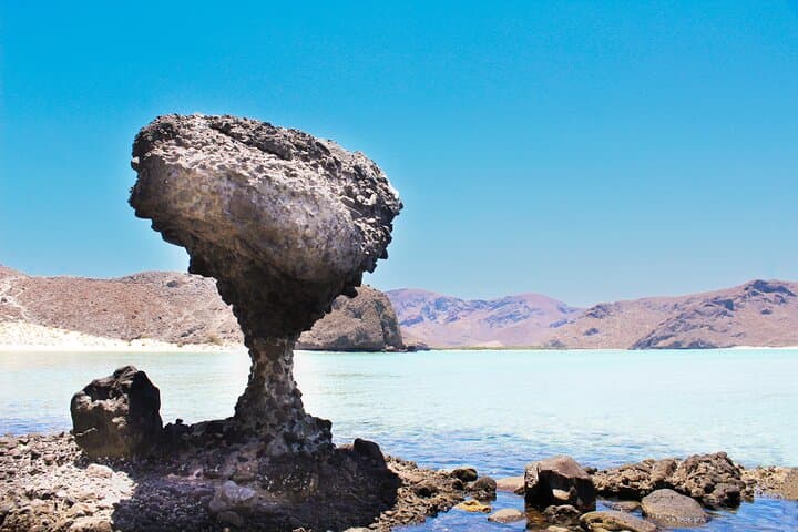 La Paz Day Tour: Balandra & El Tecolote Beaches with Historic Center Walk photo 6