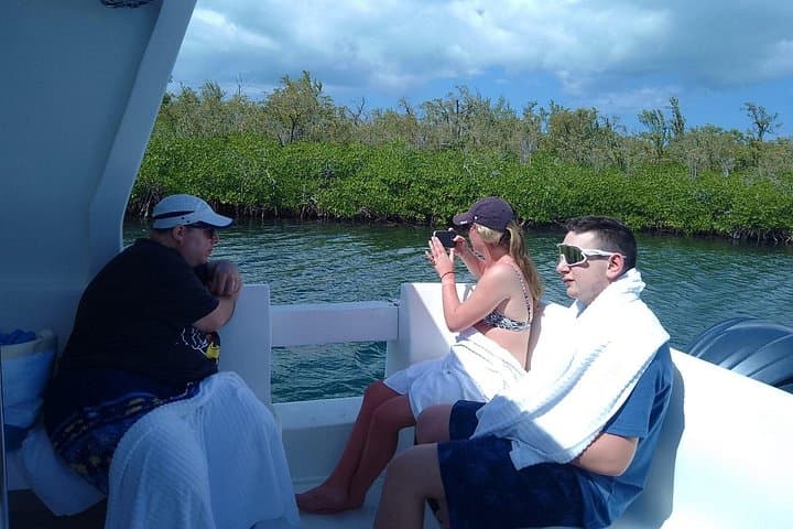 Starfish Encounter & Mangrove Mangrove Boat Tour — Grand Cayman Wildlife Adventure photo 2