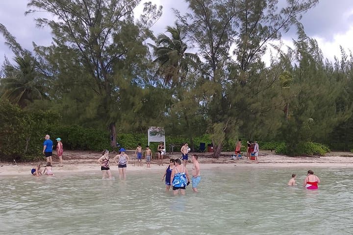 Starfish Encounter & Mangrove Mangrove Boat Tour — Grand Cayman Wildlife Adventure photo 3