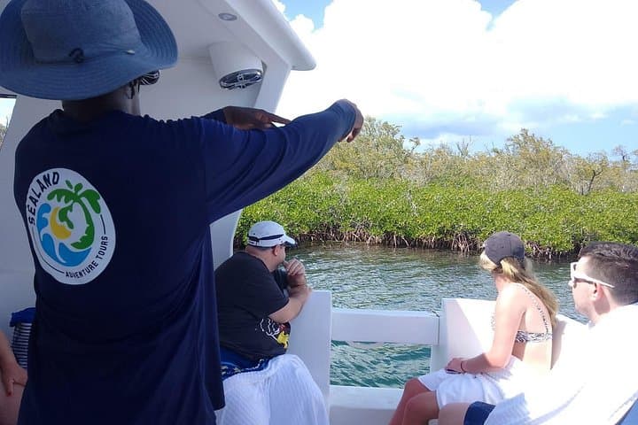Starfish Encounter & Mangrove Mangrove Boat Tour — Grand Cayman Wildlife Adventure photo 4