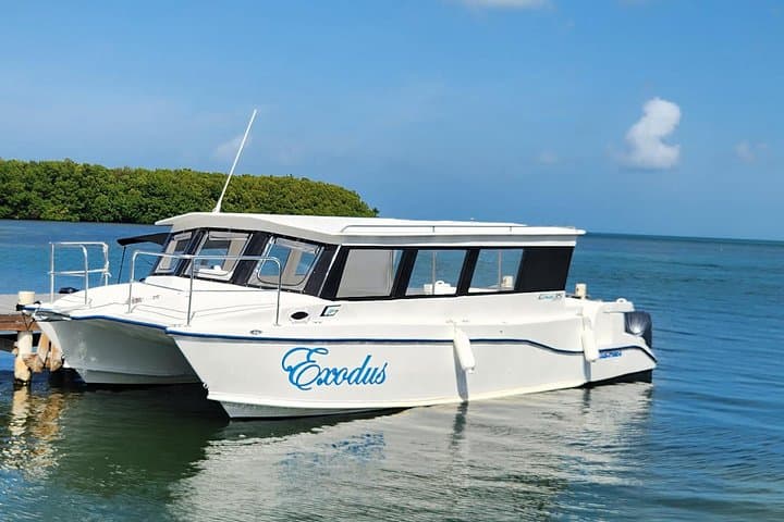 Starfish Encounter & Mangrove Mangrove Boat Tour — Grand Cayman Wildlife Adventure photo 1