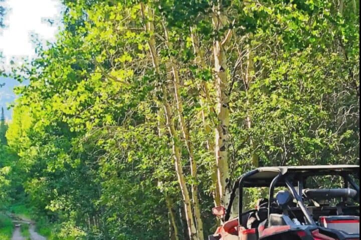 UTV Ride to Sawtell Peak, Big Springs & Caldera Meadows: Island Park Backcountry photo 3