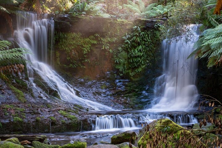 Mount Field & MONA Day Tour: Waterfalls, Tall Eucalypts & Derwent Tasting Trail