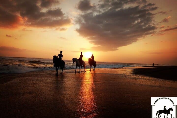 Sunset Horse Ride Across Bali Ricefields to Pig Stone Beach photo 4