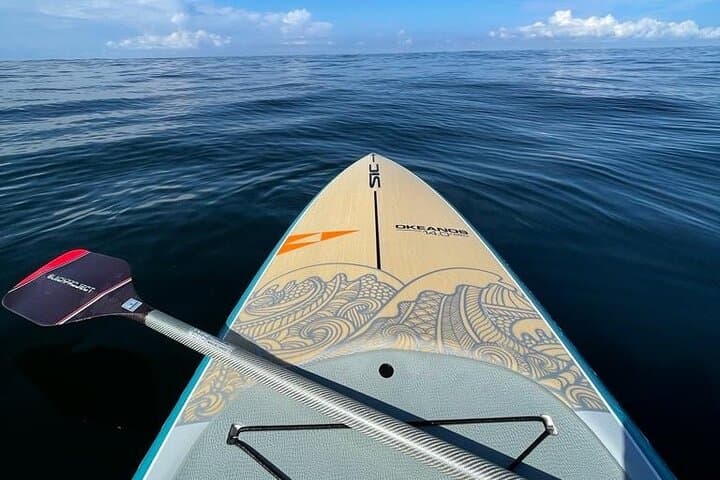 Gulf of Nicoya Stand Up Paddleboard Classes — Puntarenas SUP Lessons photo 6