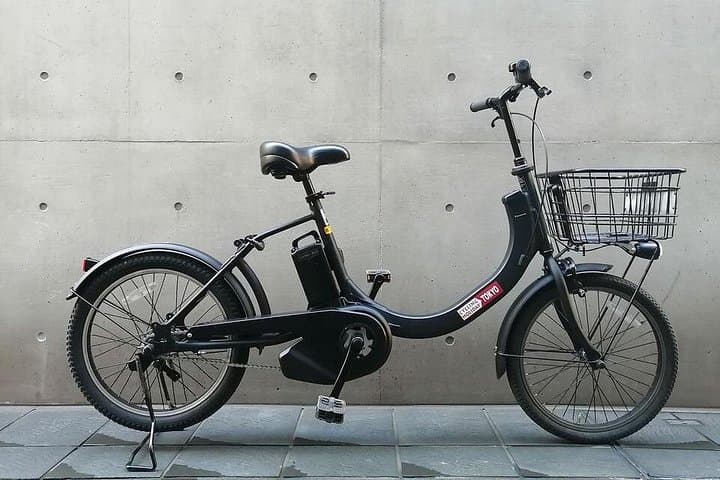 Twilight E-Assist Bike Tour Around Tokyo Bay — Summer Evening Ride from Kanda photo 2
