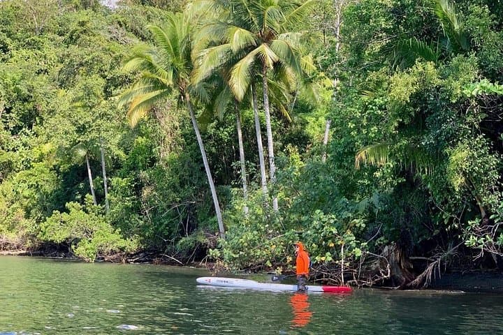 Paddle the Mangroves of the Gulf of Nicoya: SUP & Kayak Tour from Puntarenas