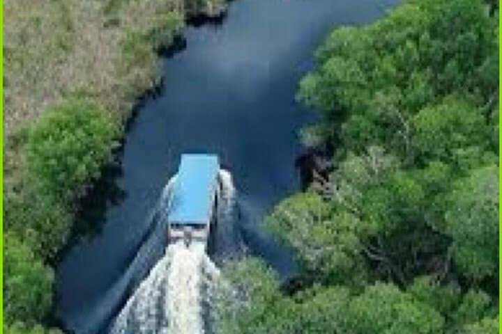 YS Falls and Black River Safari: Private South Coast Tour from Montego Bay photo 4