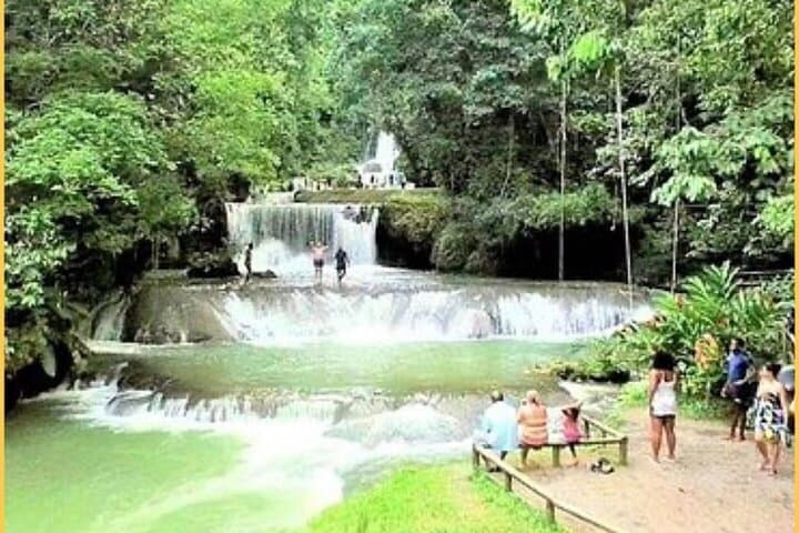YS Falls and Black River Safari: Private South Coast Tour from Montego Bay photo 5