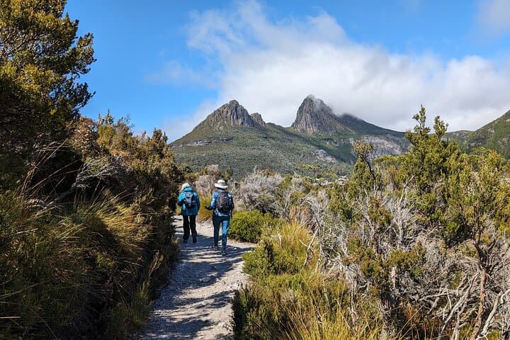 6-Day Tasmanian Discovery Tour: Cradle Mountain, Bay of Fires & Gordon River Cruise photo 5