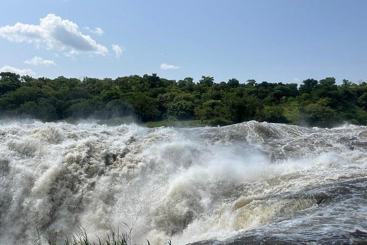 5-Day Uganda Safari: Murchison Falls, Ziwa Rhino Sanctuary & Kaynela Farm photo 1