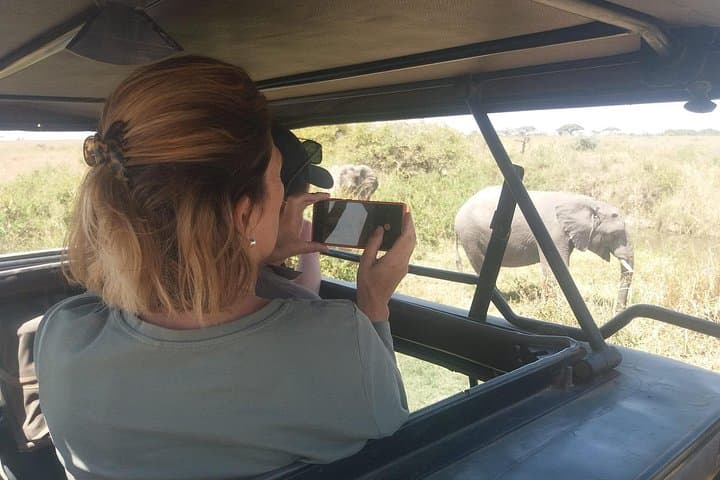 Three-Day Budget Lodge Safari — Tarangire, Ngorongoro & Lake Manyara photo 4