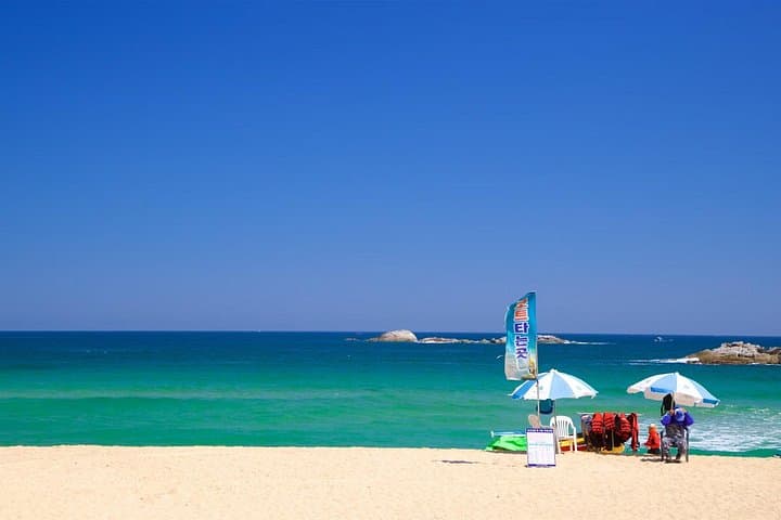 Shared Pyeongchang Tour with Samyang — Gangneung Beaches, Ojukheon & Samyang Round Hill