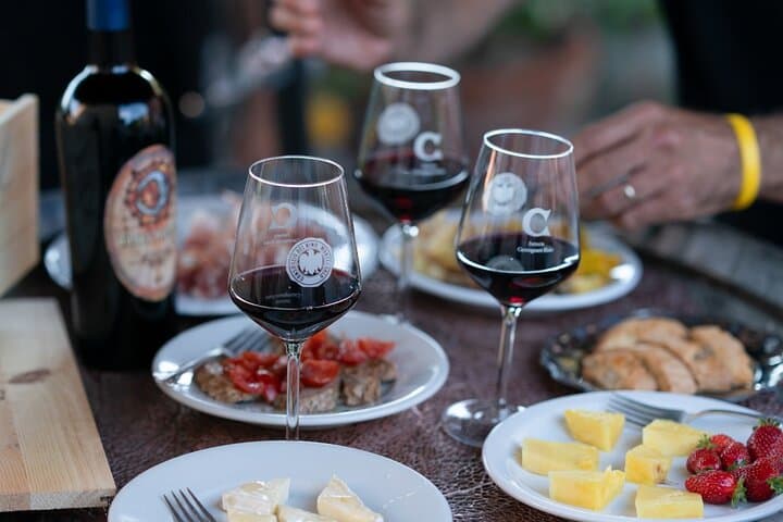 Montecarlo E-Bike Day Tour: Lunch, Wine Tasting & Tuscan Hills photo 4