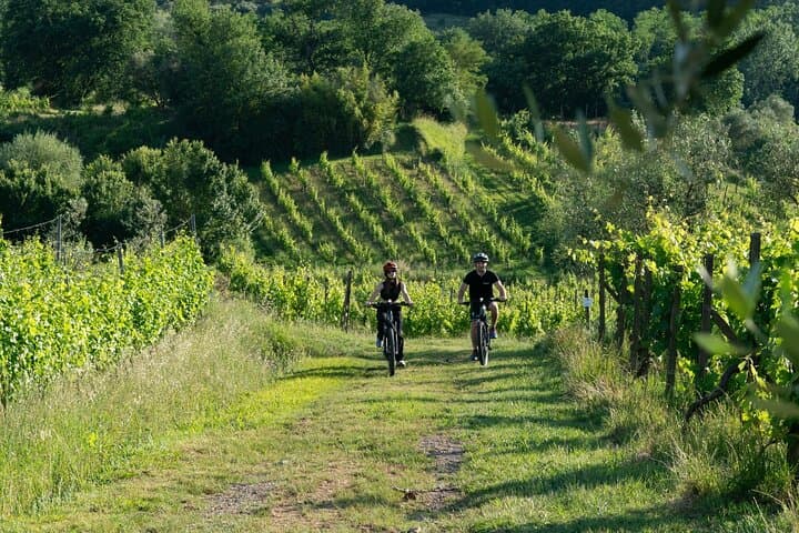 Montecarlo E-Bike Day Tour: Lunch, Wine Tasting & Tuscan Hills